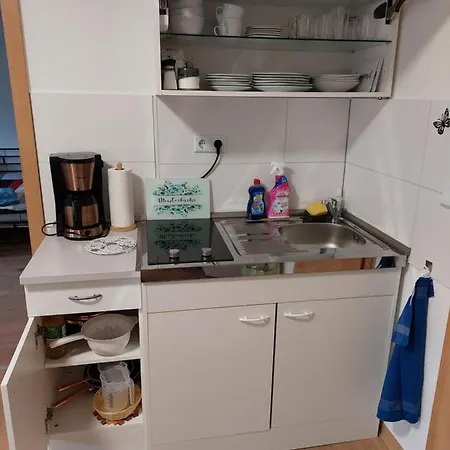 Διαμέρισμα Celik *